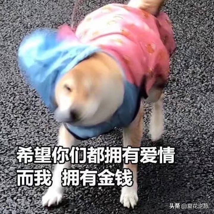 七夕幽默的句子（七夕情人节唯美句子）