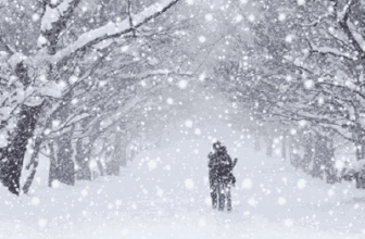 有关雪的诗句唯美（描写雪的唯美诗句）