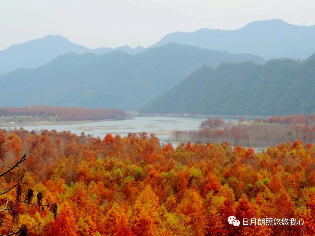 何陋轩记翻译及注释（何陋轩记中的典章礼乐）