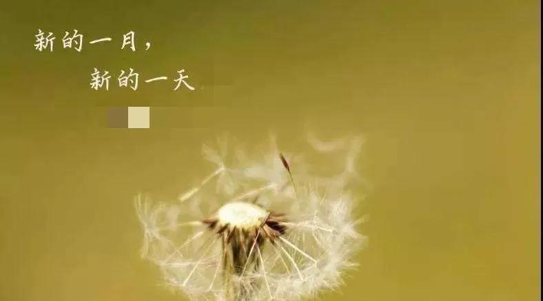 祝福话语简洁的经典（八个字高雅祝福语 ）