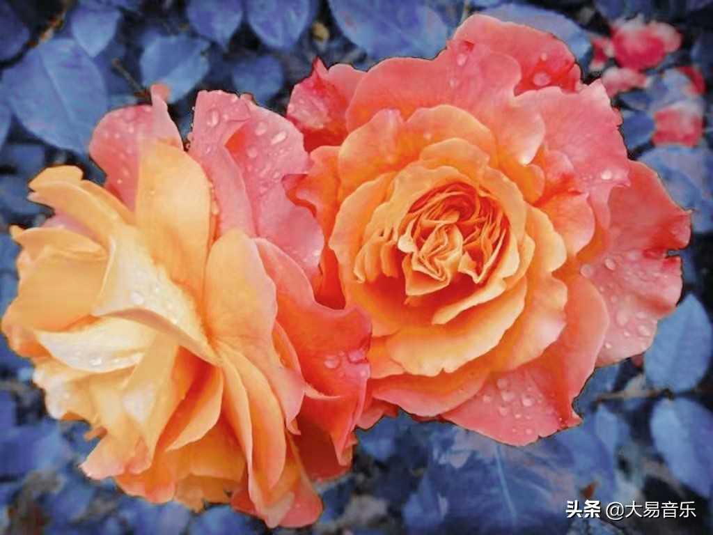 鸡汤句子激励简短（人生鸡汤短句正能量）