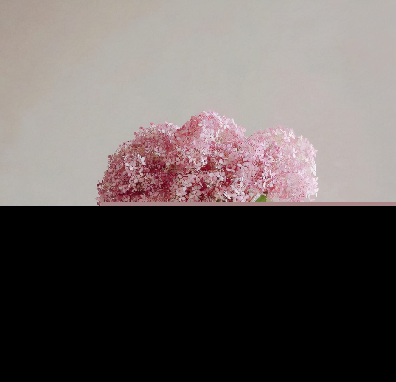 正能量唯美的句子经典语句（唯美优雅正能量句子）
