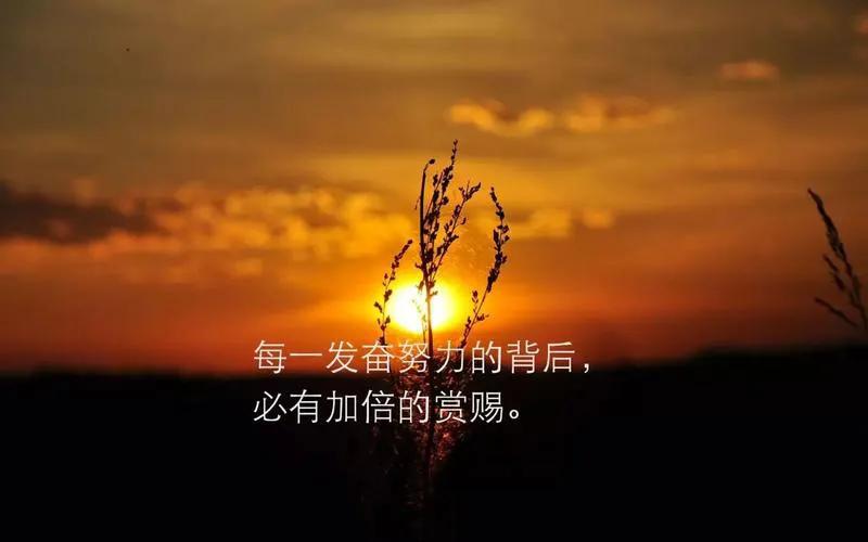 正能量句子励志短句子（激励上进正能量句子）