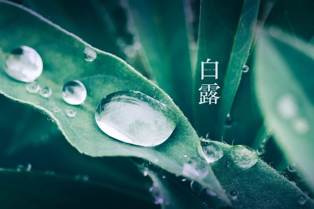 二十四节气的古诗有哪些（关于节气的诗词欣赏）