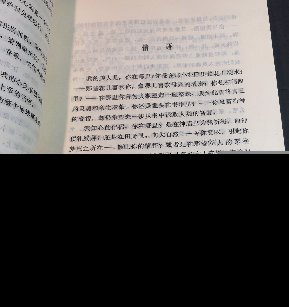 经典散文诗歌（优美短小的散文诗分享）