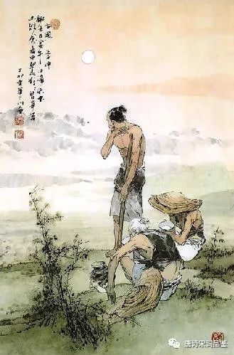 悯农李绅全诗赏析（悯农春种一粒粟鉴赏）