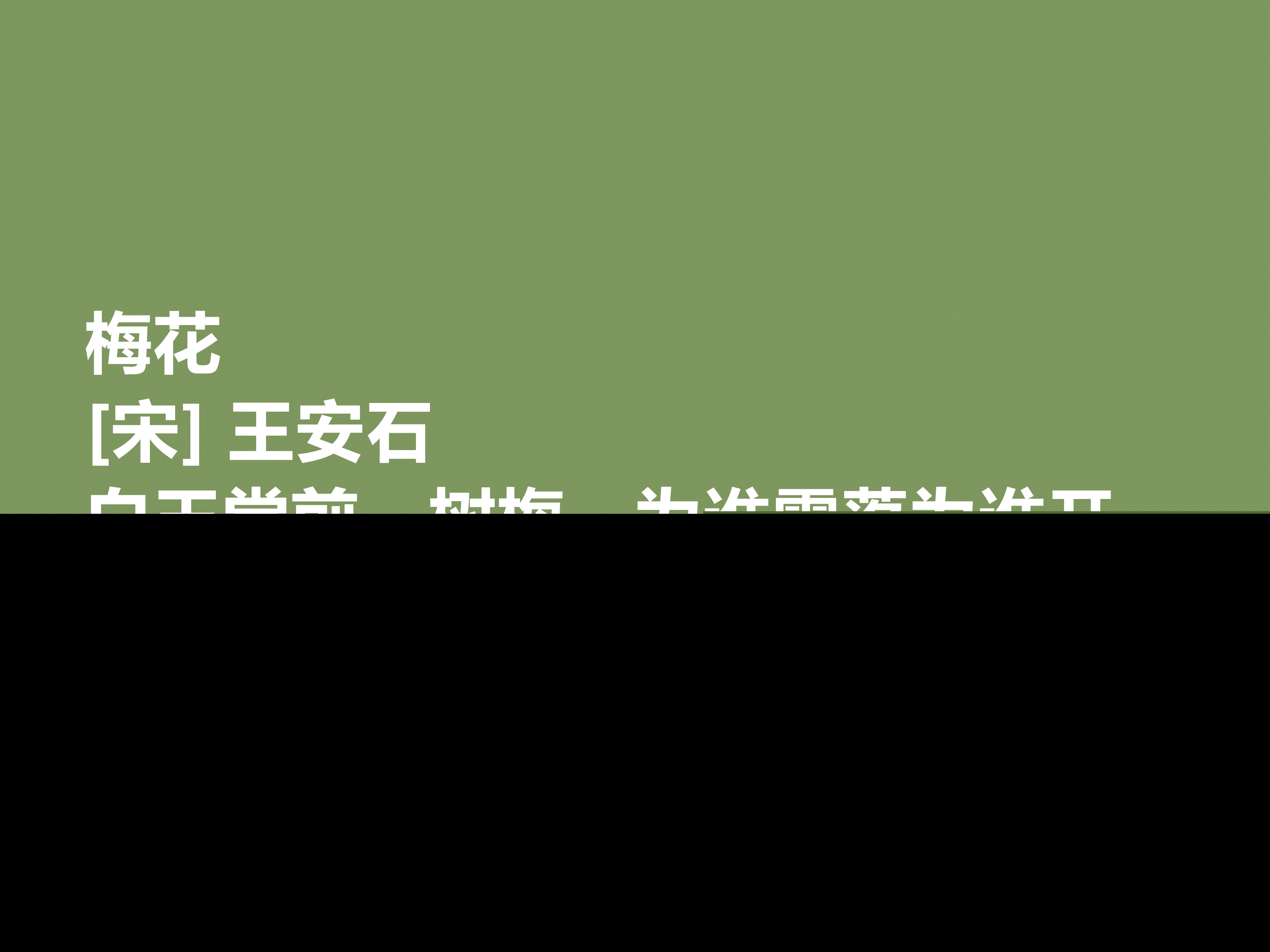 咏物诗的意象有哪些（古诗咏梅王安石）