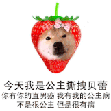 超级笑话大全爆笑（让人憋不住的笑话）