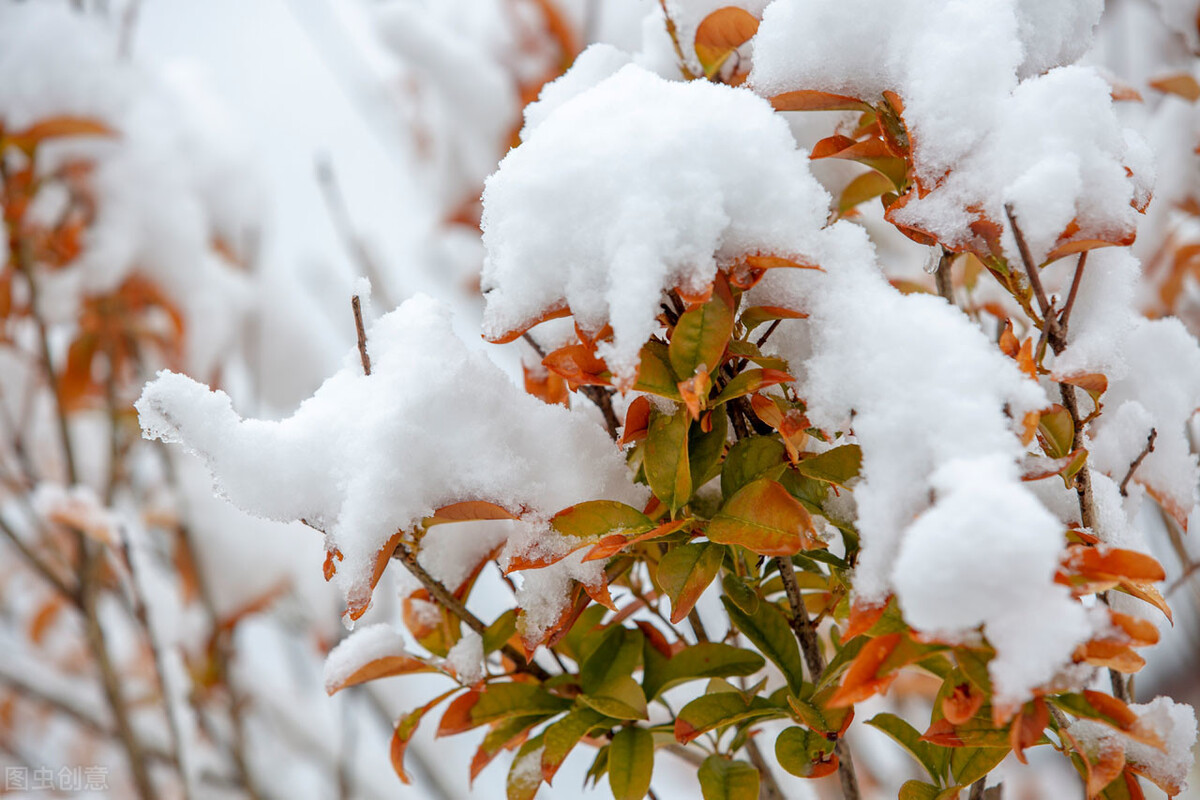 形容雪景的诗句唯美（下雪天最浪漫的一句话）
