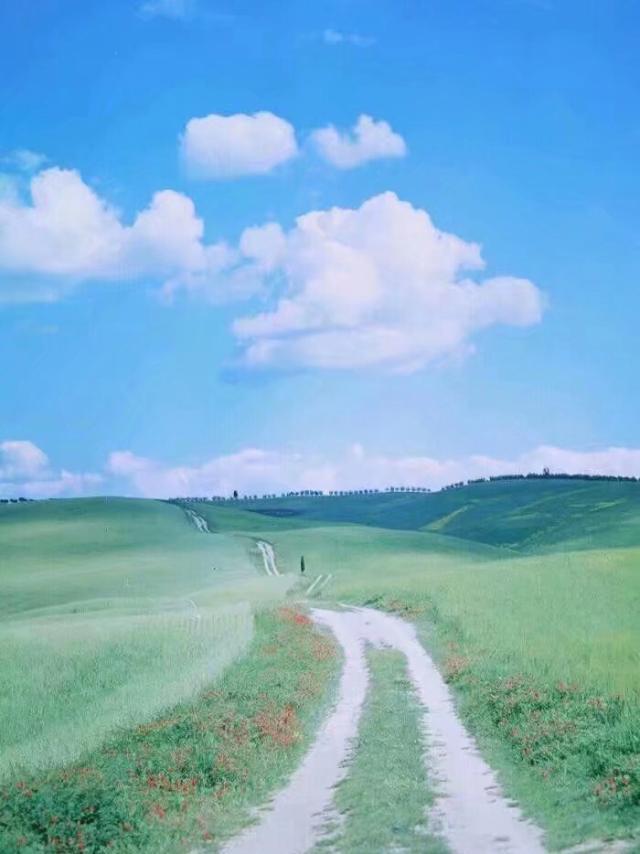 浮云游子意的全诗（浮云游子意落日故人情全诗意思及赏析）