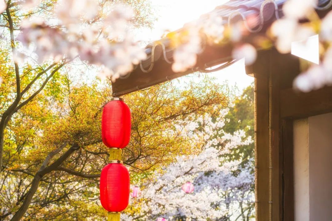 春节祝福诗句经典古诗（带有祝福语的古诗词）