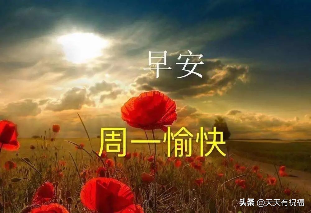 祝福语简短暖心短句（让对方看到暖心的句子）