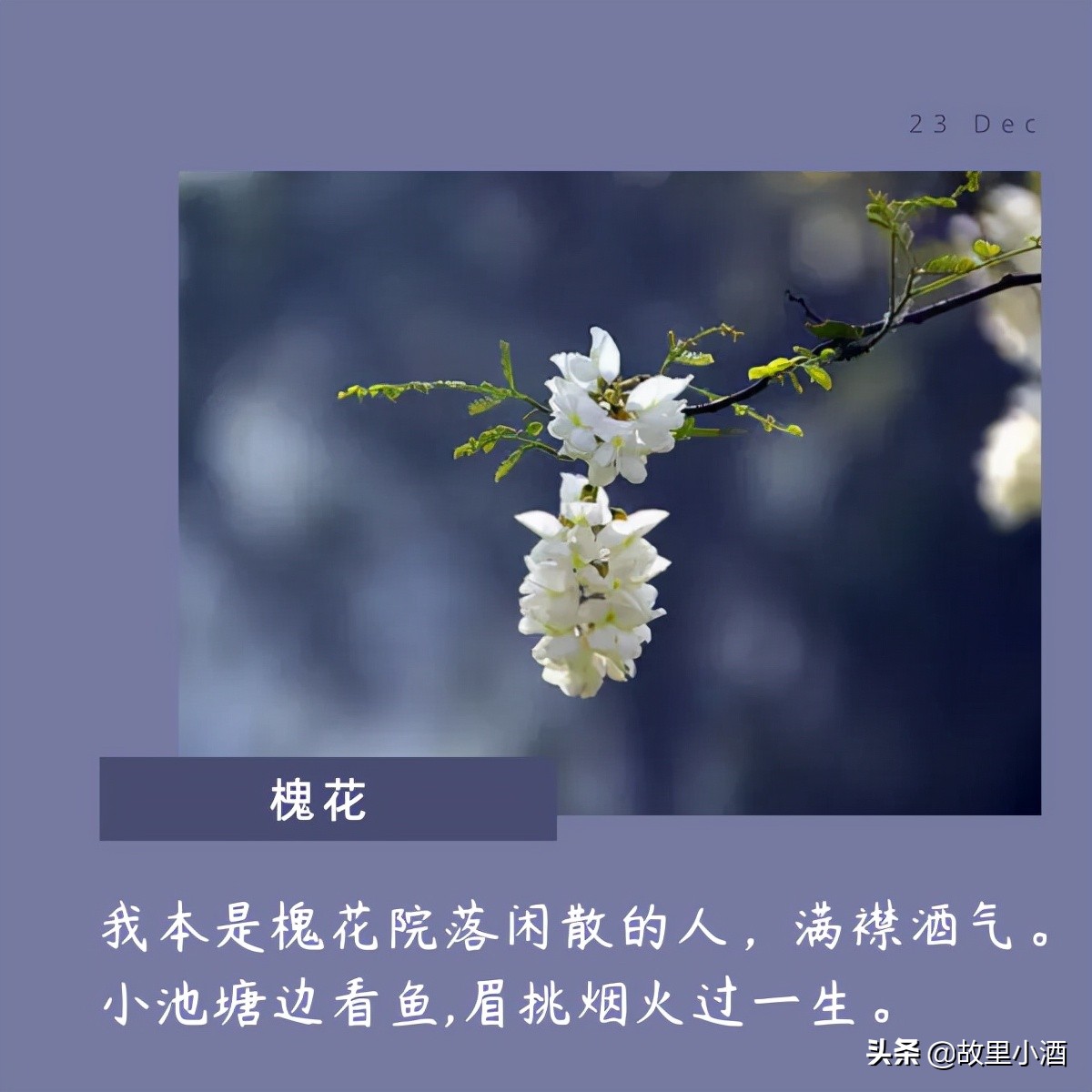 花的句子唯美短句（欣赏花的优美句子）
