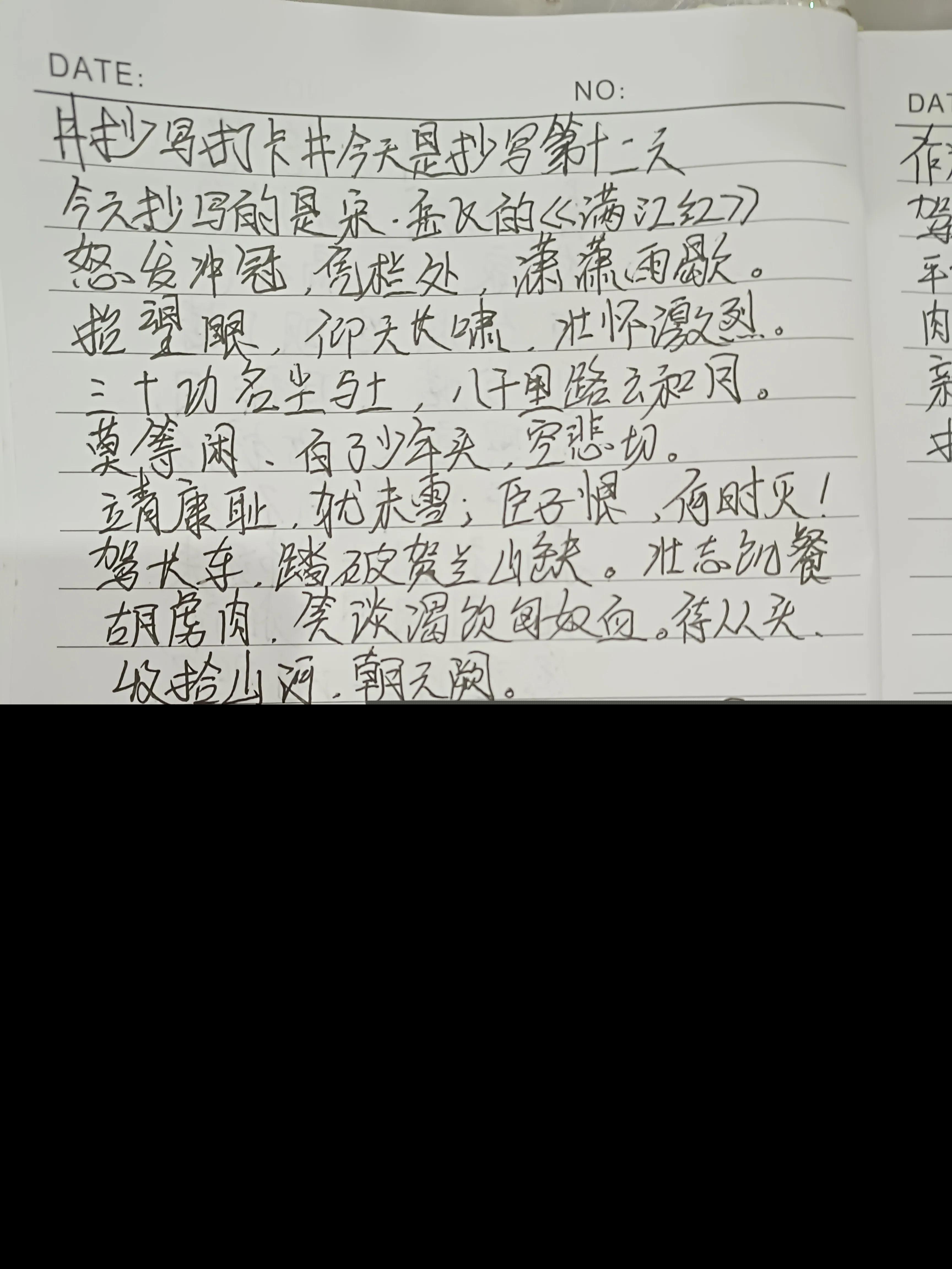 莫等闲白了少年头空悲切（十句最悲凉的古诗词）