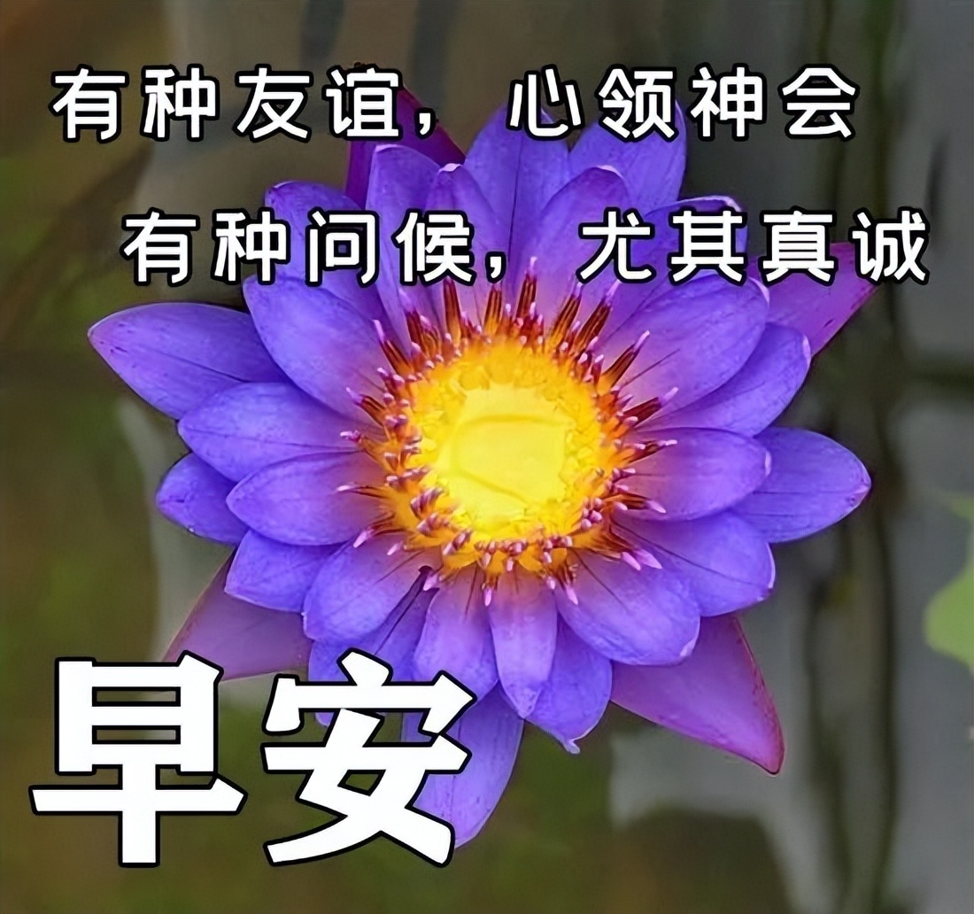 正能量短句美好生活（生活阳光正能量的句子）