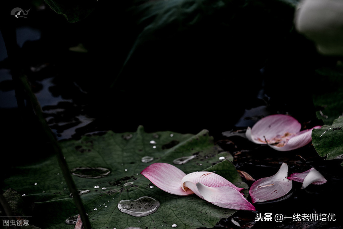 描写水的词语有哪些（关于描写水的优美句子）
