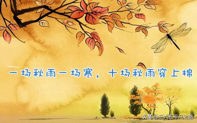 一场秋雨一场寒什么意思（一阵秋雨一阵寒的诗句）