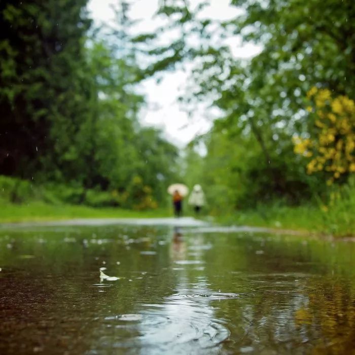 雨水节气的诗句有哪些（雨水的诗句古诗大全）