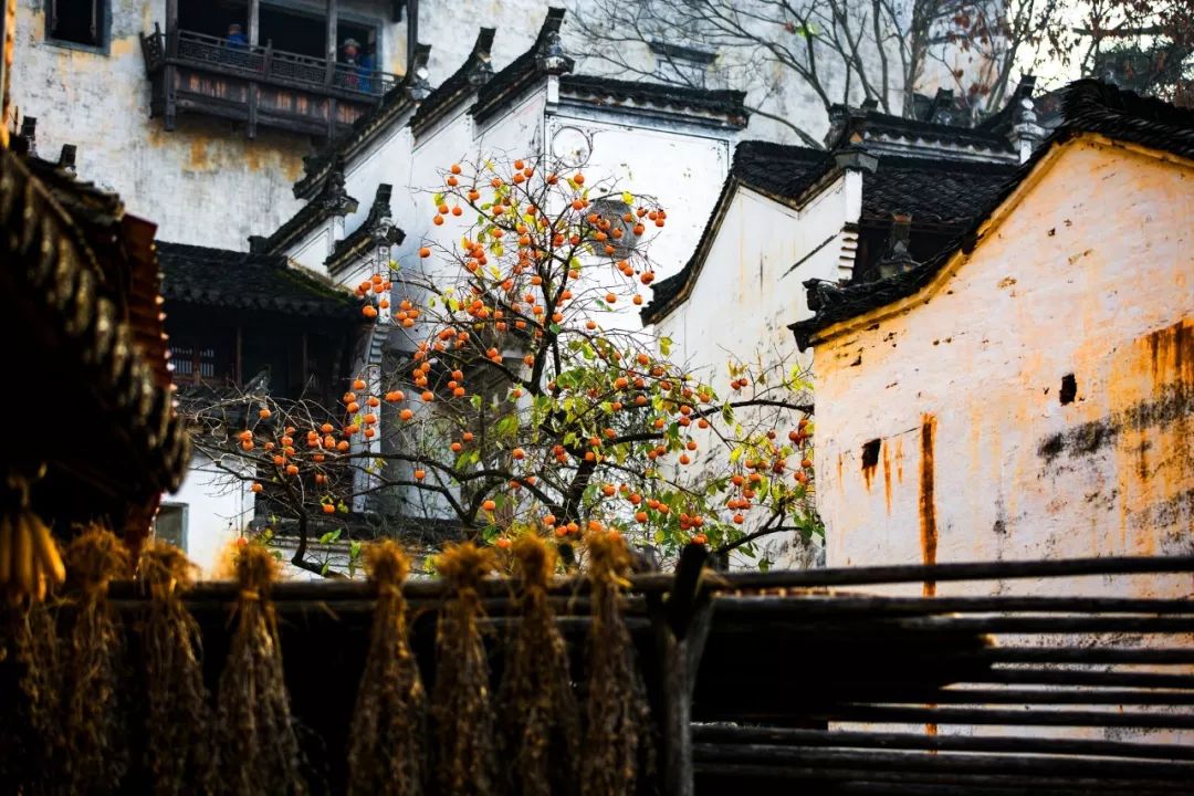 立秋的诗句大全（关于立秋的美好诗句）