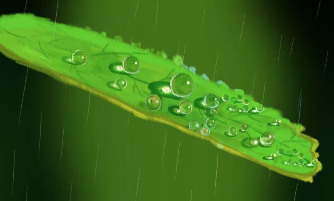 春雨的诗句有哪些（描写春雨的句子诗句）