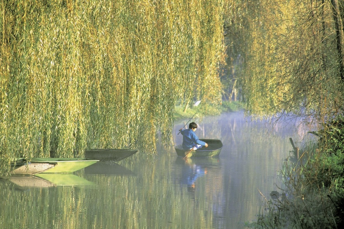 杨柳青青江水平全诗（竹枝词刘禹锡赏析）