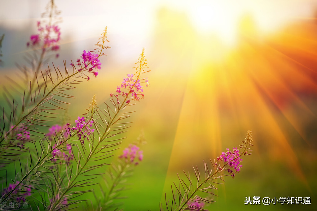 无什么无什么的成语（带无不同结构的成语）