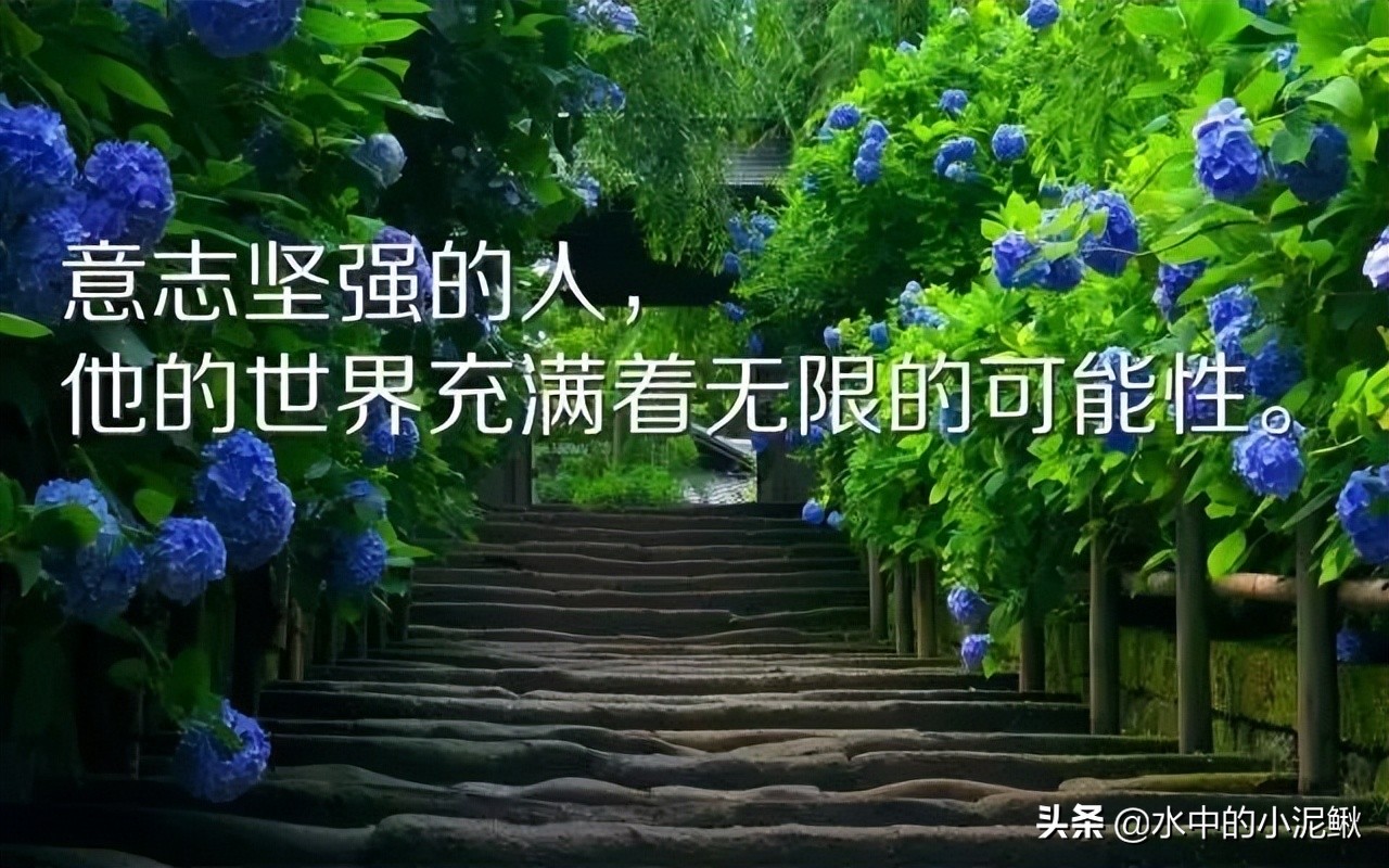 2022年鼓励自己的话（感慨的句子致自己简短）