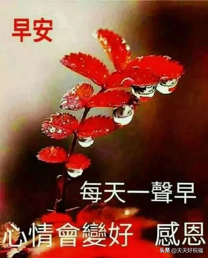 适合所有人的祝福语（最打动人心的祝福语）