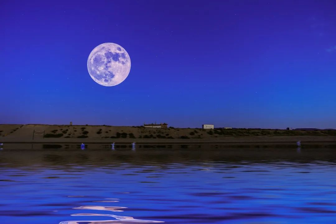 张若虚春江花月夜原文（春江花月夜原文及赏析）