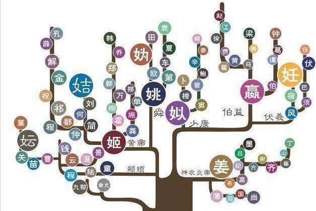 关于姓氏的由来（中国姓氏的起源和演变）
