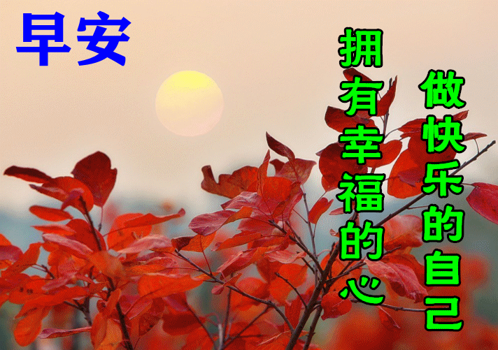 早上好短语大全（早上好祝福语简短句子）