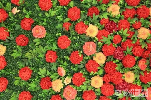 花团锦簇是什么意思（花团锦簇的成语解释及造句）