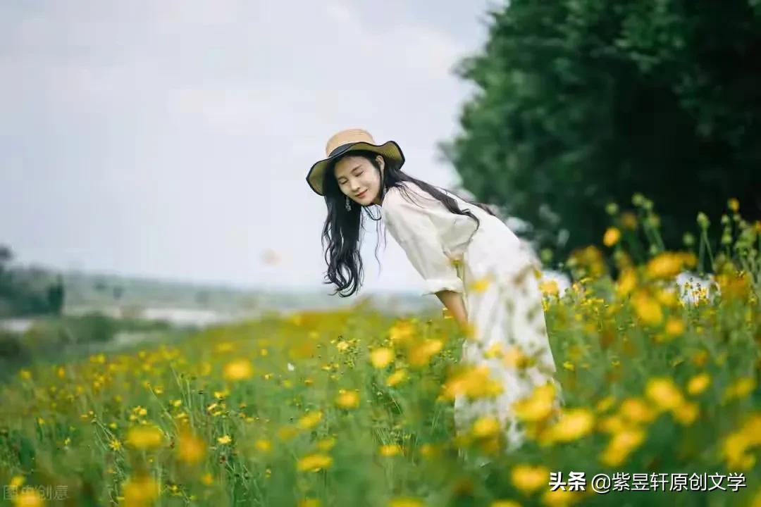 关于蒲公英的唯美句子（描写蒲公英的优美段落）