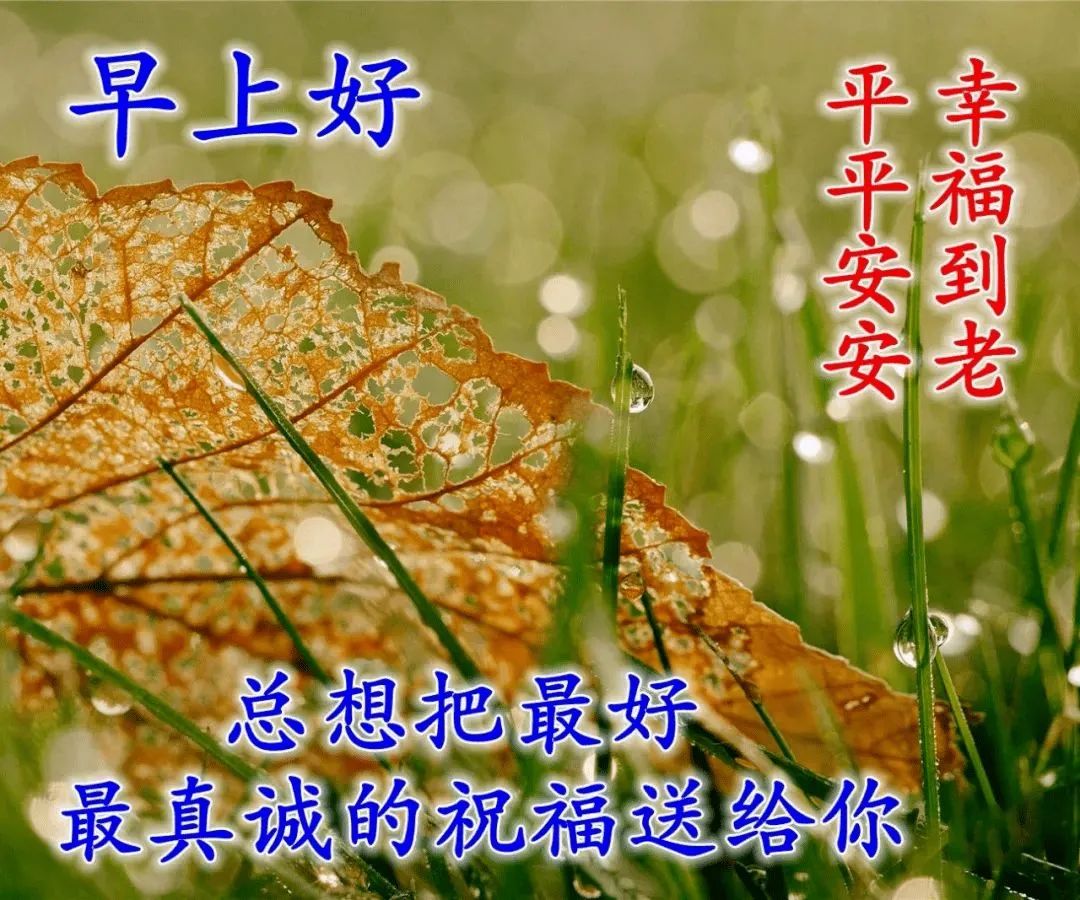 关心的话语句子（情商高安慰人的句子）