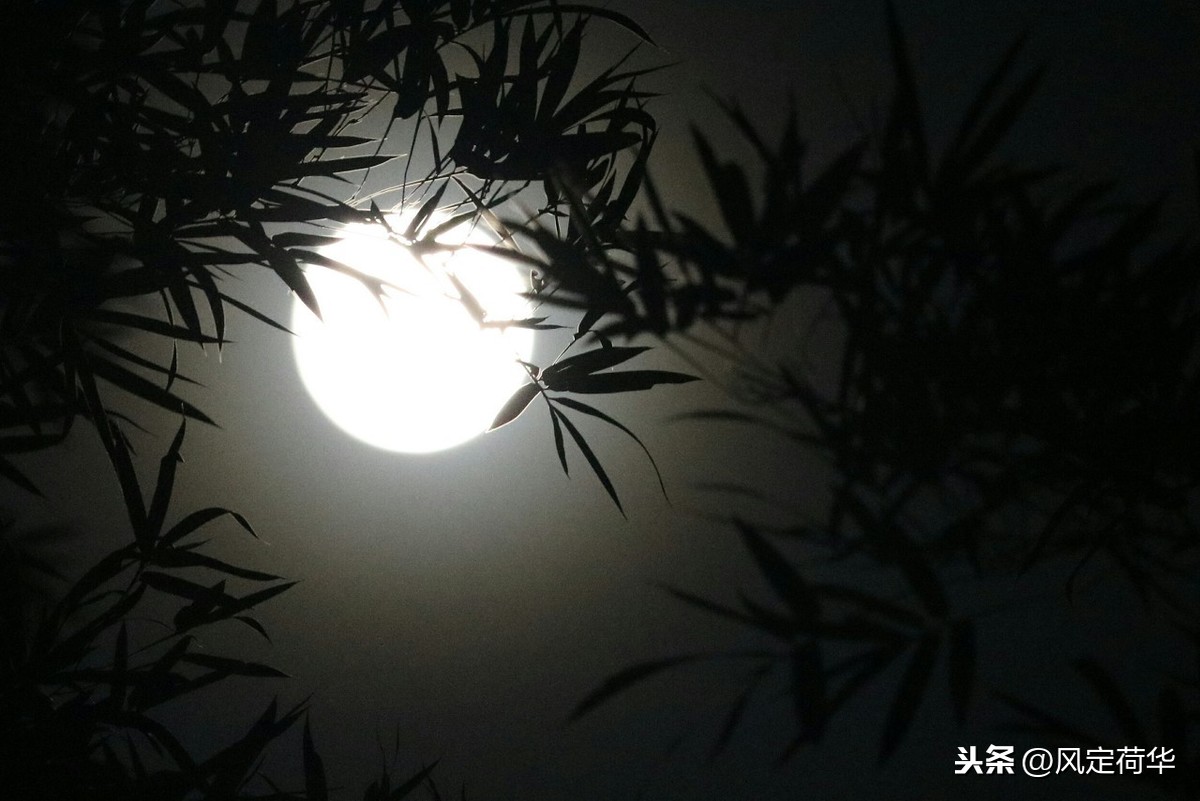 人生如逆旅我亦是行人（生僻却美到爆的古文）