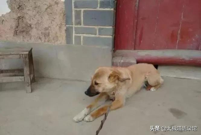 渐行渐远的感慨（表达渐行渐远的短句子）