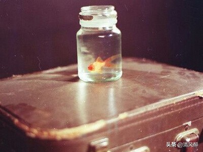 追女孩子的短信（追女孩子的情话短句）