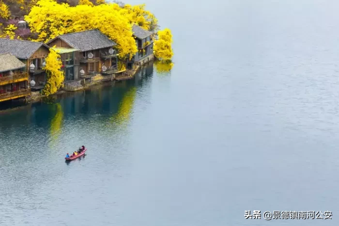 夏天的诗句古诗大全（描写夏天的古诗欣赏）