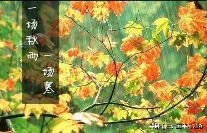 一场秋雨一场寒什么意思（一阵秋雨一阵寒的诗句）