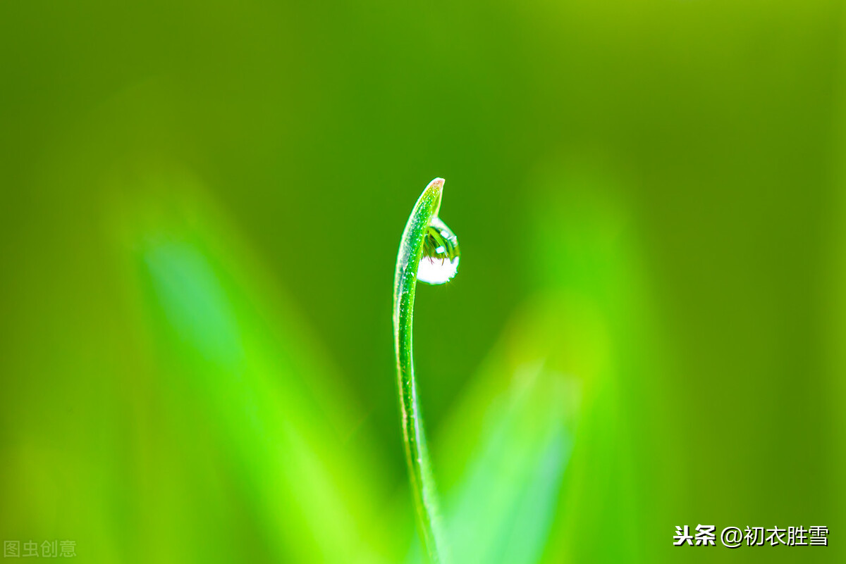 关于春草的诗句古诗（描写春草的古诗词欣赏）