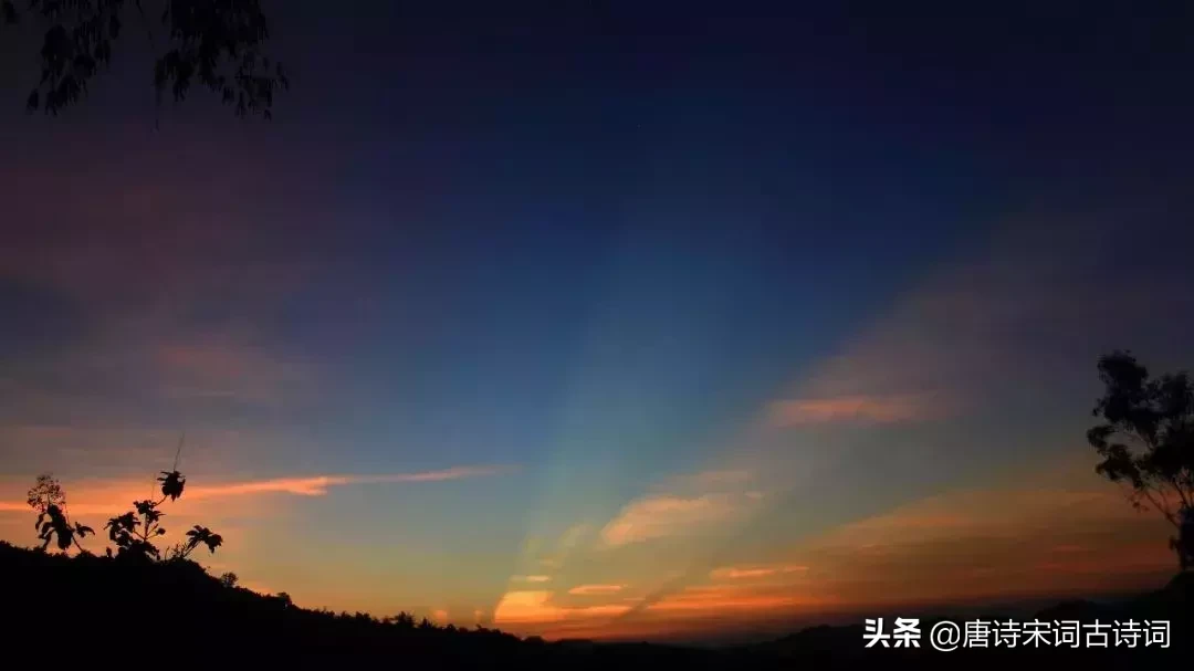 关于爱情的诗歌（关于爱情的现代诗歌）