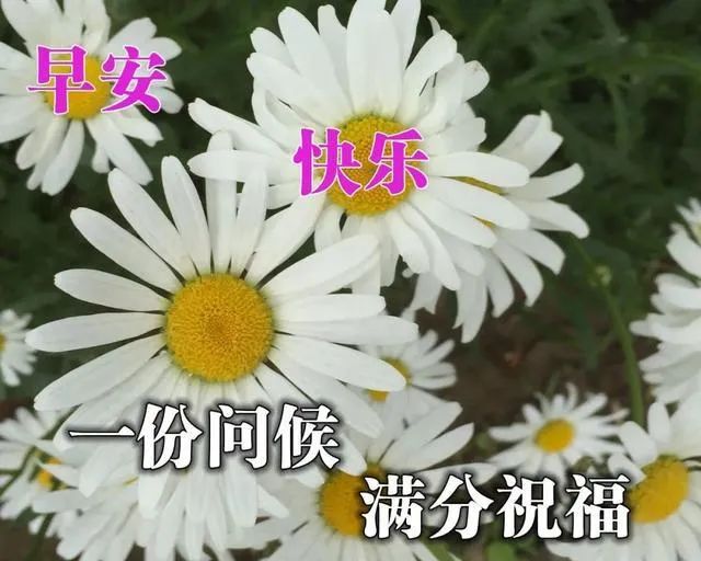 最简单最真诚的祝福语（最真诚的短信祝福语）