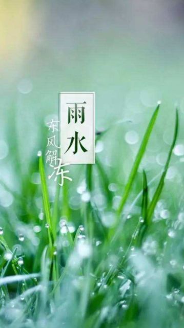 有关于雨水节气的诗句（雨水节气的古诗俗语和谚语）