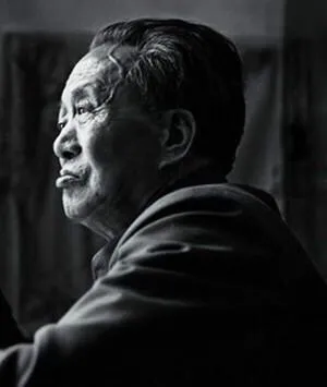 关于艾青的现代诗歌（艾青的现代诗歌精选欣赏）