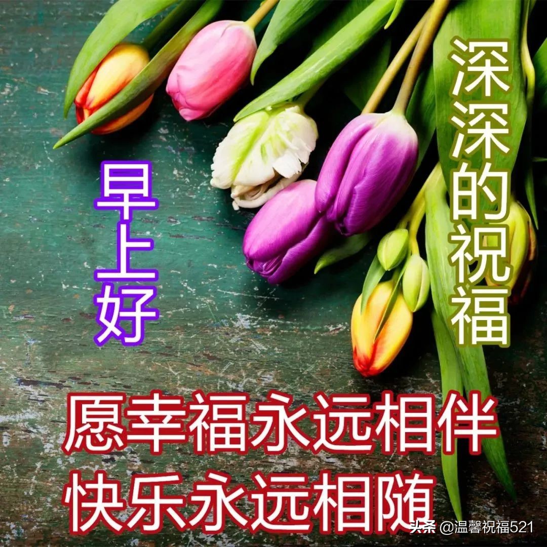 早安心语短句（早安让人看了舒服的句子）