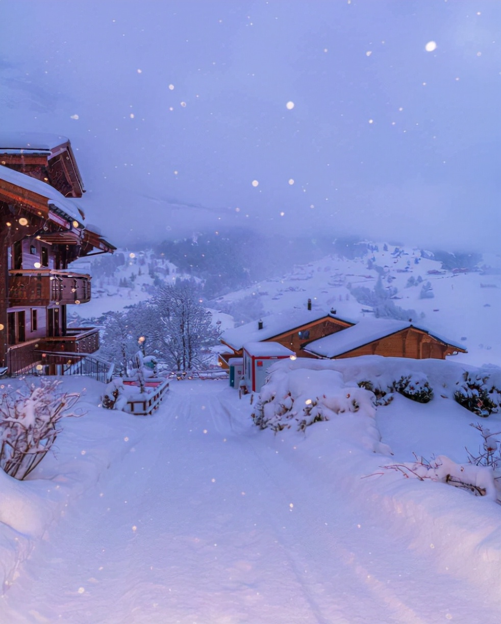 描写雪的诗有哪些（关于下雪的诗句古诗大全）