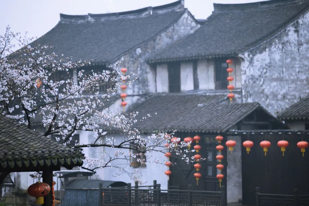 关于花的唯美句子（花的正能量句子简短）