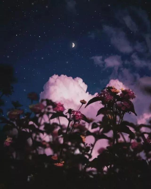 夜晚星空的优美句子（描写星河璀璨的诗句）
