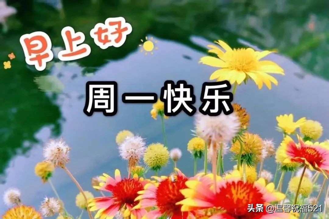 周一祝福短信（周一让人心情好的祝福）