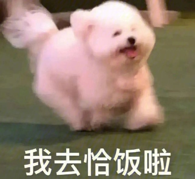 很秀很皮的句子有哪些（很秀很皮的句子大全）